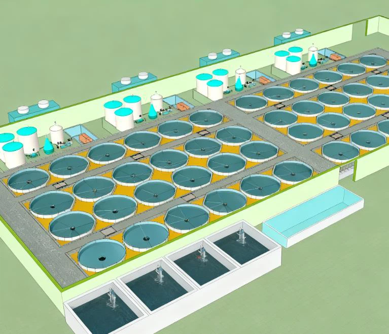 Largemouth Bass wastewater Treatment Largemouth Bass wastewater Treatment